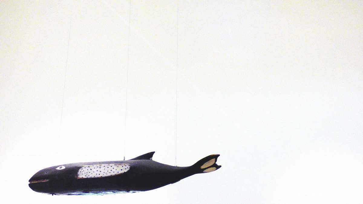 weil am rhein photo of black whale toy germany